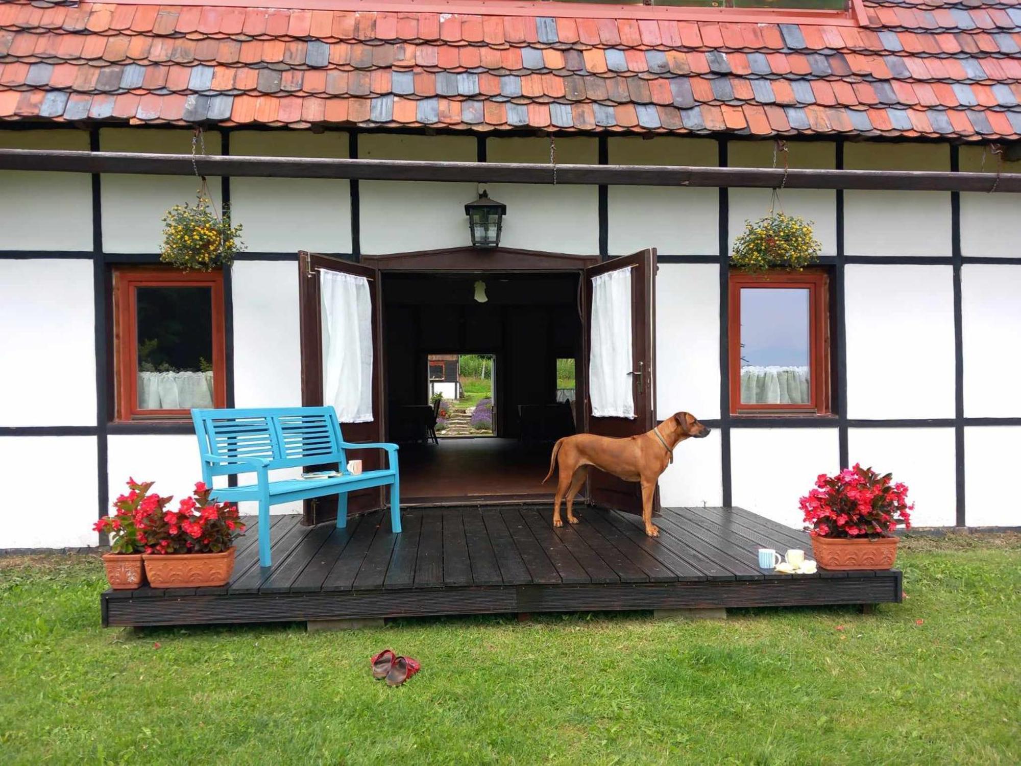 Villa Austeria Staniszów Jelenia Góra Exterior foto